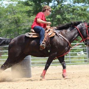 Meet your Posher, Ellen